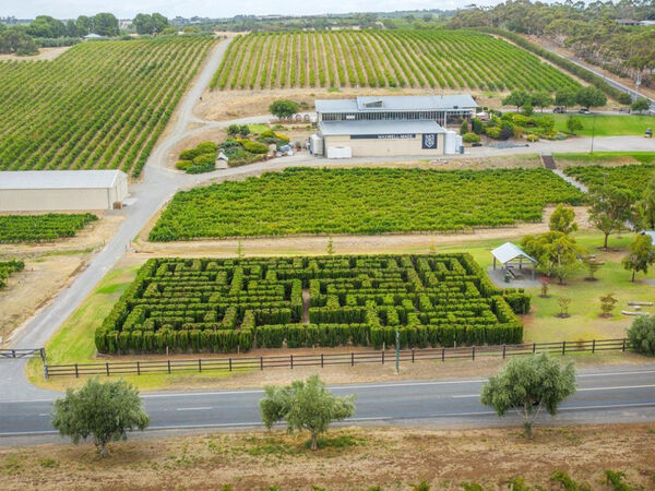 The Maze at Maxwell Wines