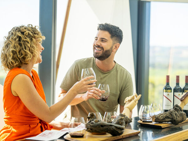 The dand39Arenberg Cube