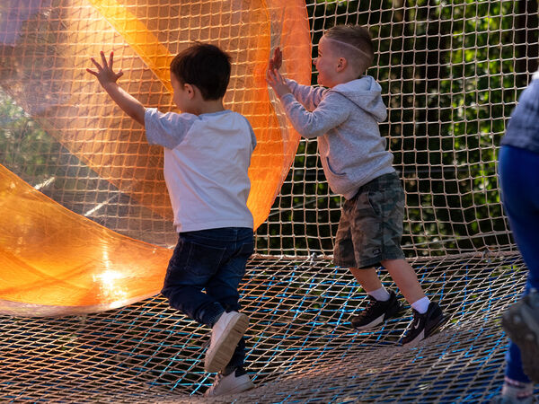 TreeClimb Kuitpo Forest 