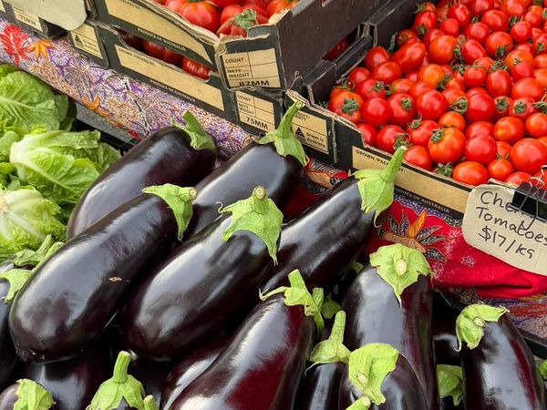 Willunga Farmers Market