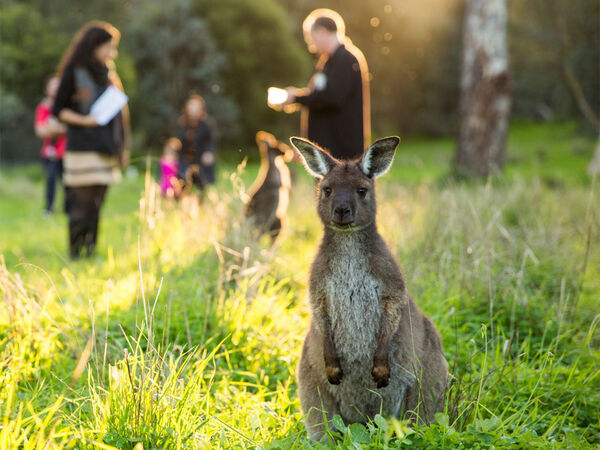 Woodstock Wildlife Sanctuary 